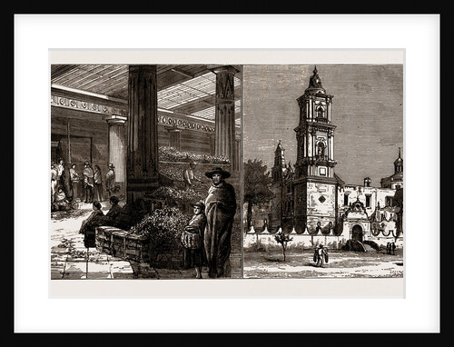 On The Mexican National Railway, 1886 by Anonymous