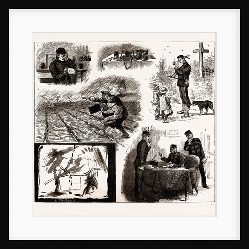 The Annual Field Sketch, 1886 by Anonymous