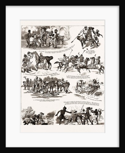 Episodes In The Career Of A Polo Pony, 1886 by Anonymous