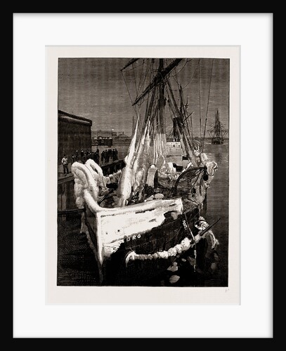 Severe Weather In The Atlantic: The S.s. Pedro, As She Arrived At Boston, 1886 by Anonymous