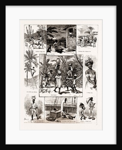 Life In Jamaica, 1886 by Anonymous