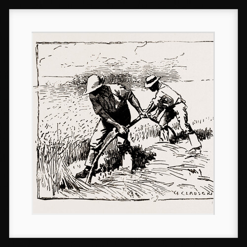 Illustrations From The Catalogue Of The Royal Institute Of Painters In Water Colours, 1886 by Anonymous