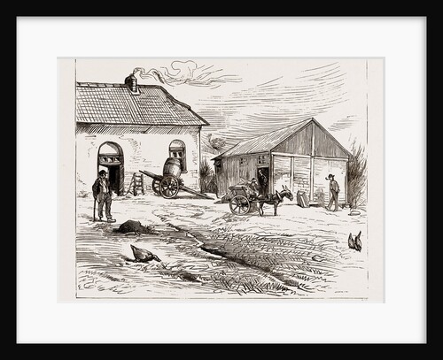 Police Hut To Protect Mike Flynn's Cottage, 1886 by Anonymous