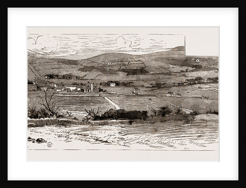 A View Near Castleisland, Showing The Scenes Of The Outrages, 1886 by Anonymous