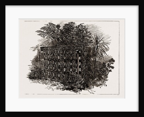 Australian And New Zealand Exhibits At The Colonial And Indian Exhibition, 1886 by Anonymous