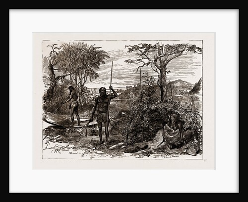 Australian And New Zealand Exhibits At The Colonial And Indian Exhibition, 1886 by Anonymous
