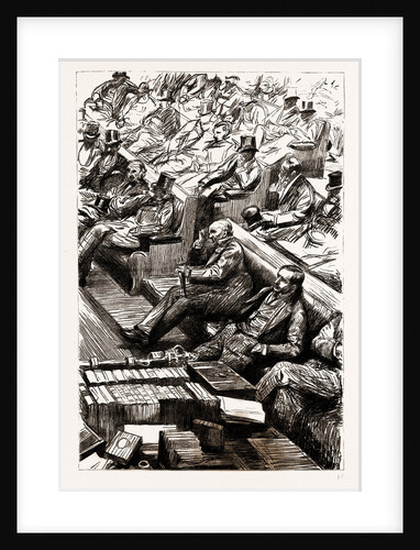 The Home Rule Debate In The House Of Commons, London, UK, 1886 by Anonymous