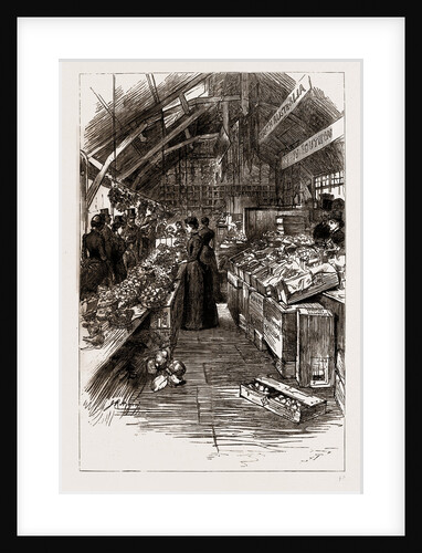 The Colonial And Indian Exhibition, 1886 by Anonymous