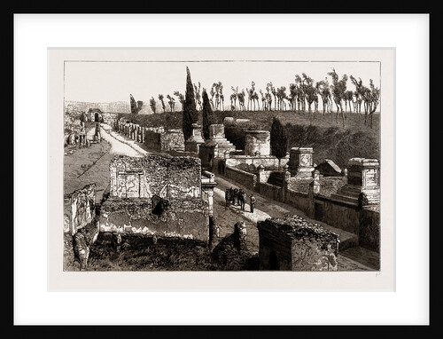 Recent Excavations At Pompeii, Italy, 1886 by Anonymous