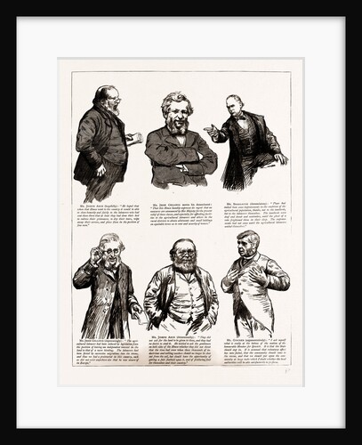 The Defeat Of The Conservative Government On Mr. Jesse Collings' Amendment To The Address by Anonymous