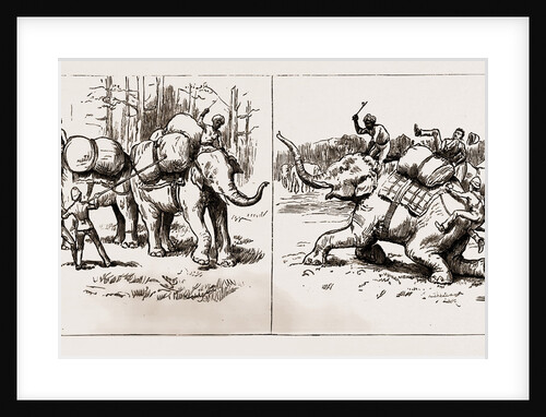 The Expedition To Upper Burma, With The Tonghoo Field Force, 1886 by Anonymous