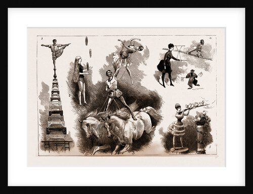The Circus At Covent Garden Theatre, London, UK, 1886 by Anonymous