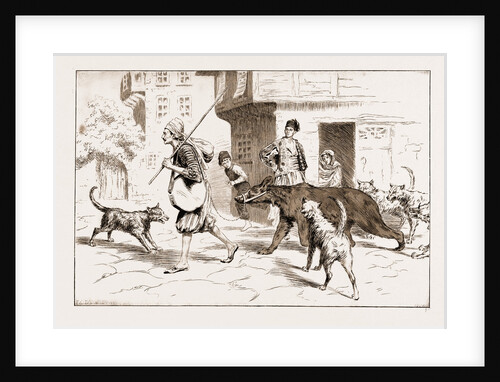 Street Dogs Barking At A Dancing Bear And His Keeper In Constantinople, Istanbul, Turkey, 1897 by Anonymous
