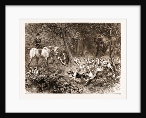 Hard Pressed: A Woodland Scene, 1897 by Anonymous