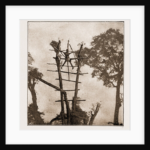 A Woman Crucified At Benin by Anonymous