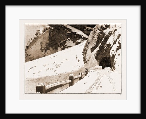The Fatal Avalanche Near Davos, 1897 by Anonymous