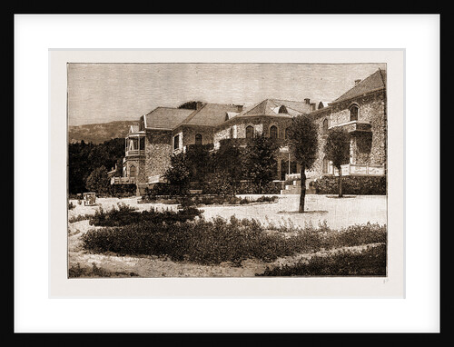 The Palace Of Tatoi : The Country Residence Of The King Of Greece, 1897 by Anonymous