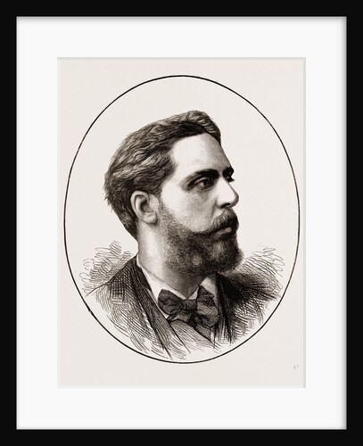 Don Carlos, 1873 by Anonymous