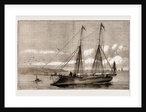 The New Yacht by Anonymous