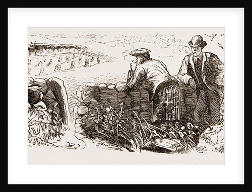 Provokingly Fine Sunday by Anonymous