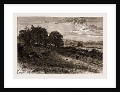 Near Evershed's Rough—scene Of The Fatal Accident To The Lord Bishop Of Winchester, 1873 by Anonymous