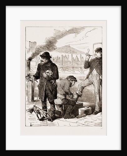 Shoeblack And Dog Dealer, Vienna Engraving 1873 by Anonymous