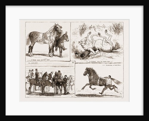 Tiie Horse Show At The Alexandra Park London UK 1873 by Anonymous