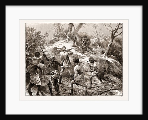 Lion Shooting In The Gheer, Kattia War by Anonymous