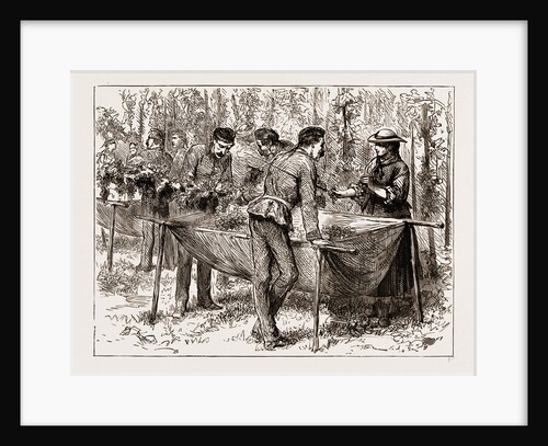 Hop-picking At Aldershot—a Military Flirtation, UK by Anonymous