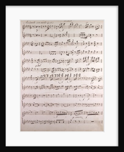Handwritten sheet music, andante con moto by Anonymous