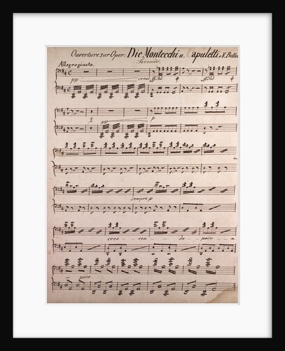 Ouverture of the Opera Die Montecchi and apuletti from Bellini, handwritten sheet music by Anonymous