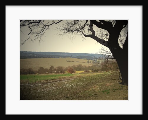 Rural Scene to the North of Sheffield by Sarah Smith