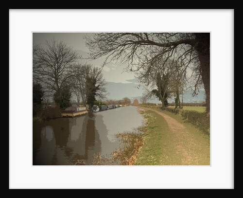 Trent and Mersey Canal near Chapel Farm by Sarah Smith