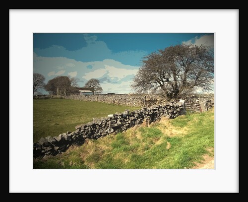 Whitelow Farm seen from Tophill Lane by Sarah Smith