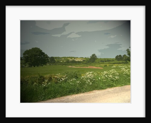 Summer Countryside viewed from Brun Lane by Sarah Smith