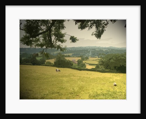 The Dove Valley near Mapleton by Sarah Smith
