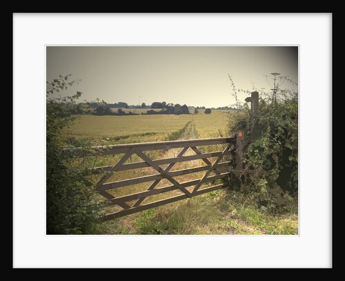 Footpath viewed from Wildpark Lane by Sarah Smith