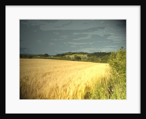 Crop Field Adjoining Goodwin's Lane by Sarah Smith