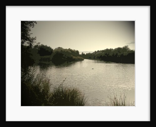 Pond near Moorway Lane by Sarah Smith