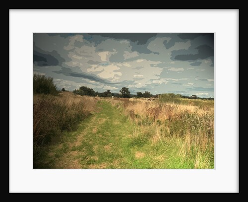 Path near Leasaws Farm by Sarah Smith