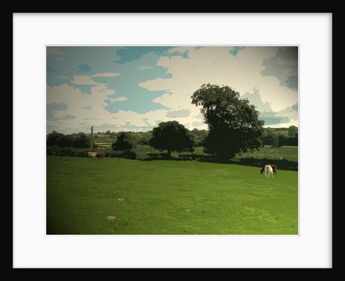 Farmland near Ashbourne by Sarah Smith