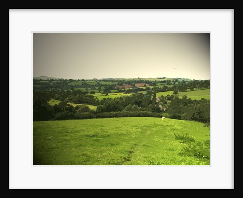 Footpath Descending Towards Bentley by Sarah Smith