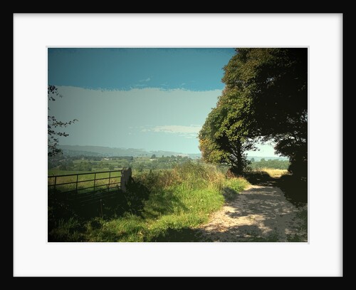 Track and Byway on Madge Hill by Sarah Smith