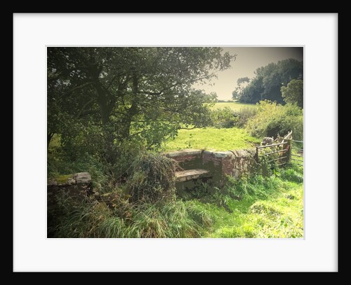 A Quaint Stone Bench by Sarah Smith