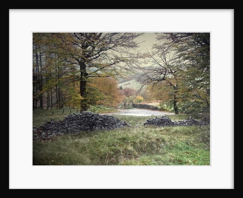 Autumnal Colours near Fernilee Reservoir by Sarah Smith