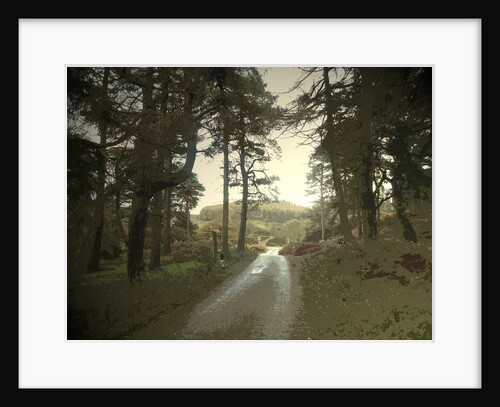 Woodland and Road near Goytsclough by Sarah Smith