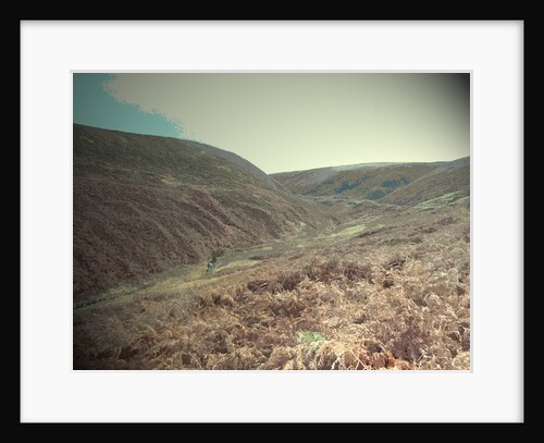 Goyt's Clough by Sarah Smith