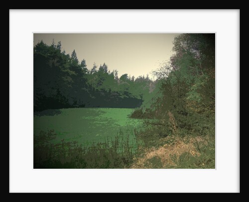 Riverside Clearing in Shallcross Wood by Sarah Smith