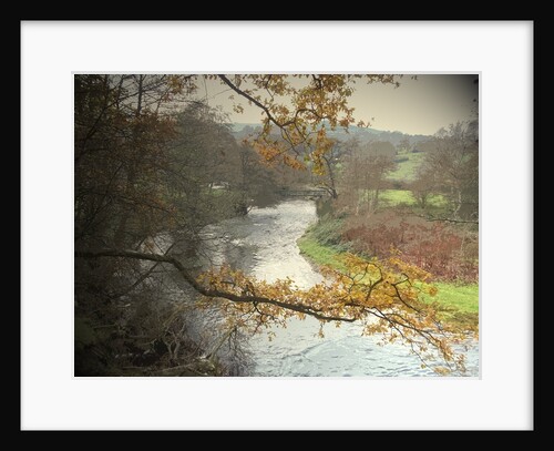 The River Etherow by Sarah Smith