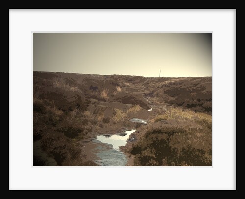 Ormes Moor by Sarah Smith